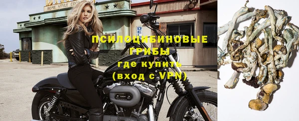 прущий лед Богородск