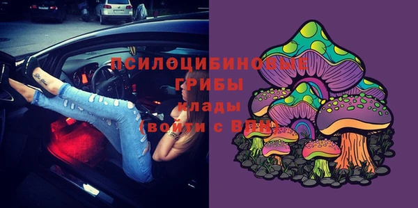 мяу мяу мука Белокуриха
