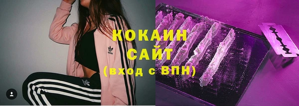 мяу мяу мука Белокуриха