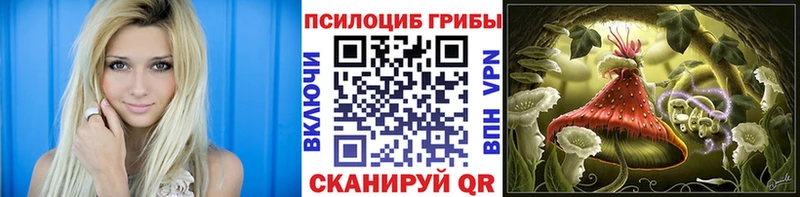 Псилоцибиновые грибы Psilocybe  Будённовск 